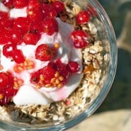 Rysteribs i morgenmadstrifli